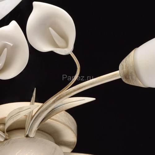 Потолочная люстра MW-Light 242016906