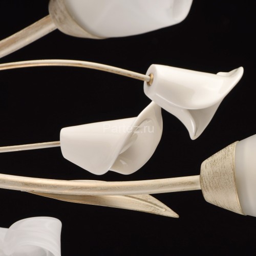 Потолочная люстра MW-Light 242016906