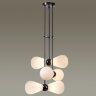 Потолочная люстра Odeon Light 5418/6