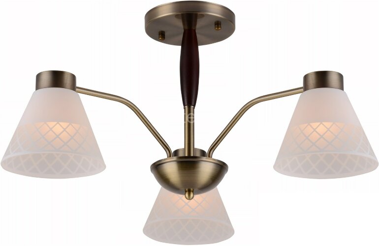 Потолочная люстра Reluce 00536-0.3-03