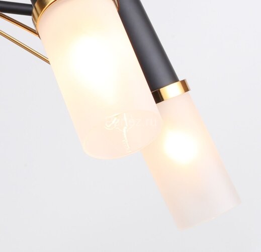 Потолочная люстра F-Promo 2558-5P