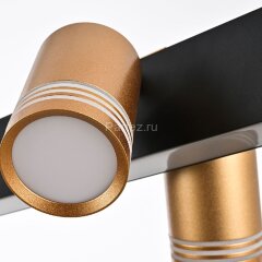 Потолочная люстра Favourite 4074-6P