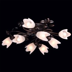 Потолочная люстра MW-Light 323013708