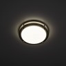 Настенно-потолочный светильник Citilux CL709201N