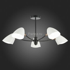 Потолочная люстра Evoluce SLE103602-05