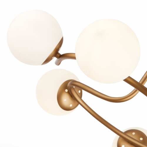 Потолочная люстра Evoluce SLE220602-06