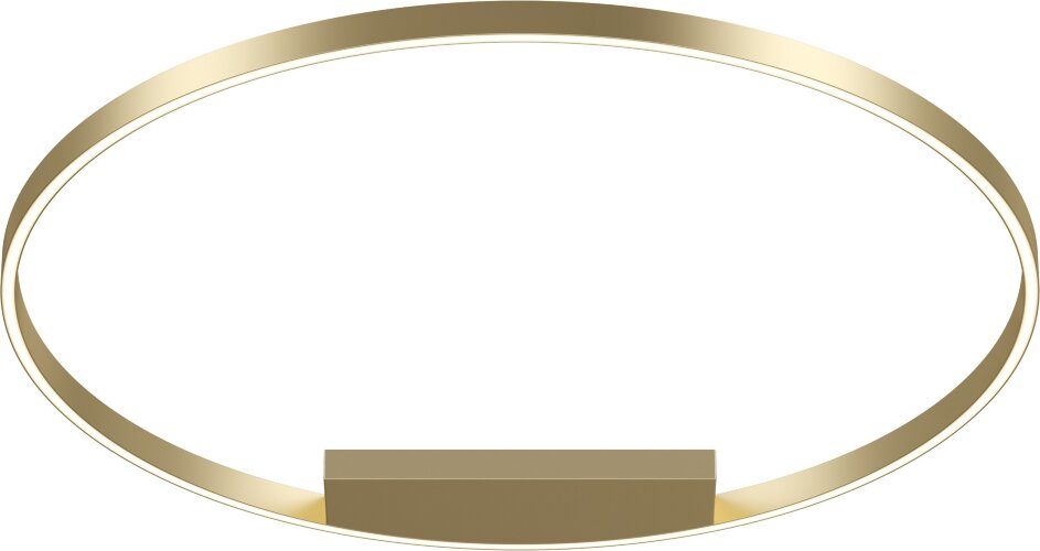 Потолочный светильник Maytoni MOD058CL-L65BS3K