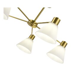 Потолочная люстра Evoluce SLE1561-302-05