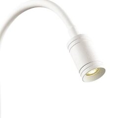 Бра Favourite 1958-1W