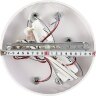 Потолочная люстра Natali Kovaltseva LED LAMPS 81196