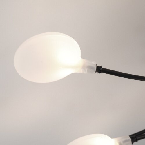 Потолочная люстра Arte Lamp A7423PL-28BK