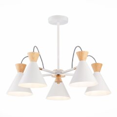 Потолочная люстра Evoluce SLE125102-05