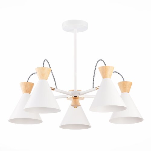 Потолочная люстра Evoluce SLE125102-05