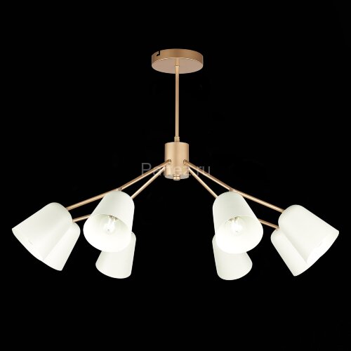 Потолочная люстра Evoluce SLE155902-08