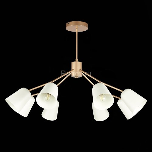 Потолочная люстра Evoluce SLE155902-08