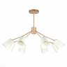 Потолочная люстра Evoluce SLE155902-08