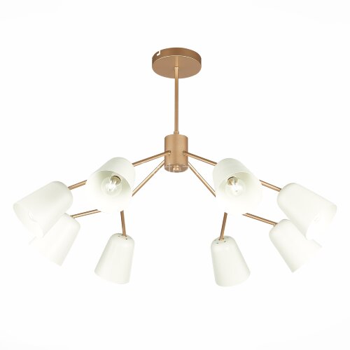 Потолочная люстра Evoluce SLE155902-08