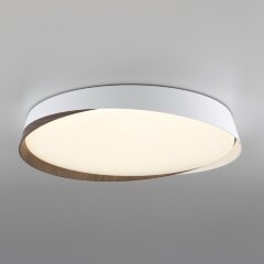 Потолочный светильник Citilux CL754450G