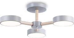 Потолочная люстра Ambrella FL4822