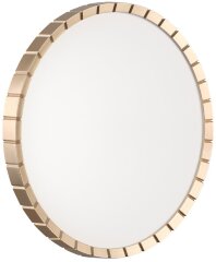 Настенно-потолочный светильник Sonex 7648/DL