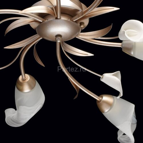 Потолочная люстра MW-Light 242016306