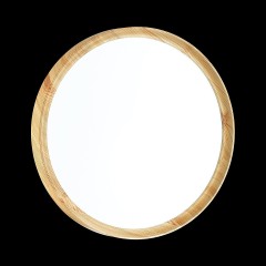 Настенно-потолочный светильник Sonex 3019/EL