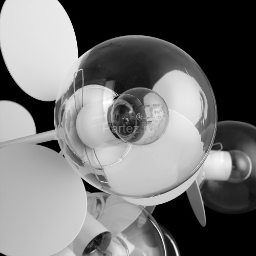 Потолочная люстра Freya FR5165PL-10W