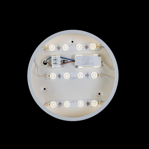 Потолочный светильник Loft It 10002/12 White