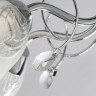 Потолочная люстра MW-Light 372015005