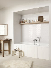 28548000 Raindance Classic Ручной душ 100 3jet