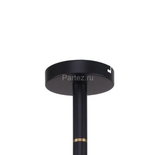 Потолочная люстра Favourite 2766-12P