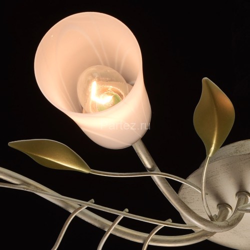 Потолочная люстра MW-Light 242015306