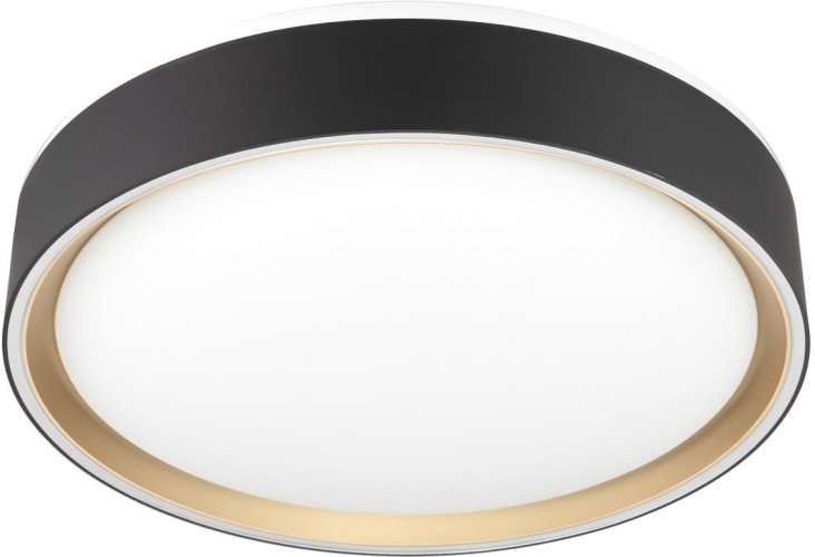 Потолочный светильник Citilux CL751251G