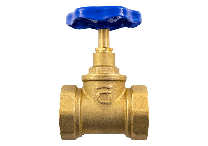 Клапан запорный 15Б3р D50 Ci 