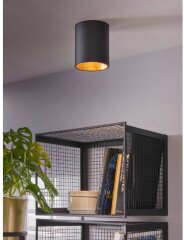 Потолочный светильник Eglo 94502