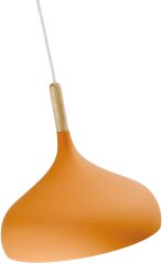 Подвесной светильник Moderli V1294-1P