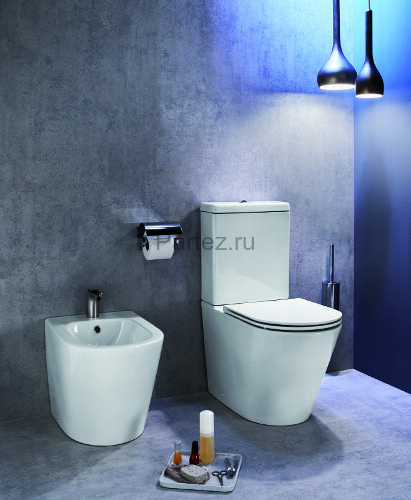 Чаша напольного унитаза Jacob Delafon Rodin+ безободковый, белый (UJAB102-00)