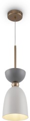 Подвесной светильник Maytoni MOD113PL-01W