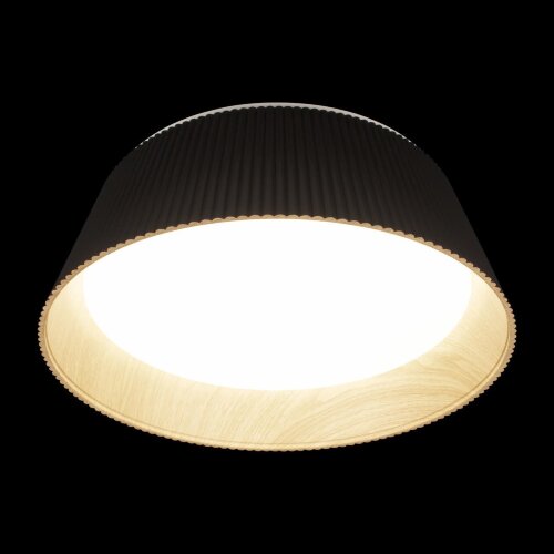 Потолочный светильник Loft It 10224 Black