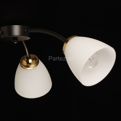 Потолочная люстра DeMarkt 676016903