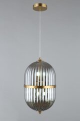 Подвесной светильник Aployt APL.860.06.06