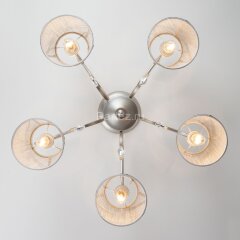 Потолочная люстра Eurosvet 60065/5 серебро