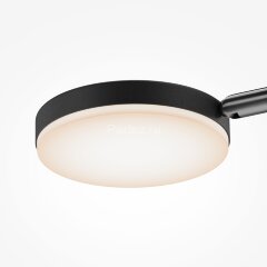 Потолочная люстра Maytoni MOD070CL-L30B3K