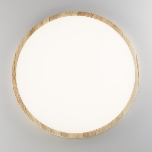 Настенно-потолочный светильник Citilux CL738322V