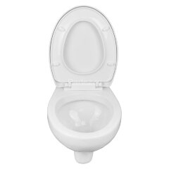 Унитаз подвесной Azario STELLA 370х400х550 ободковый, с быстросъемным сидением микролифт, белый (AZ-