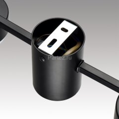 Потолочная люстра Lumion 8187/6C