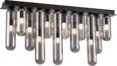 Потолочный светильник Favourite 4454-12P