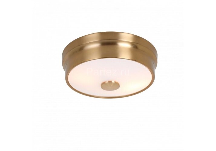 Потолочный светильник Favourite 2375-2C