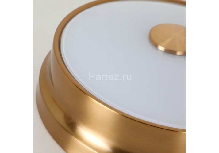 Потолочный светильник Favourite 2375-2C