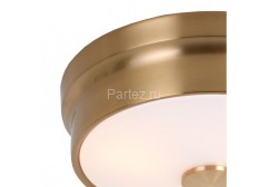 Потолочный светильник Favourite 2375-2C